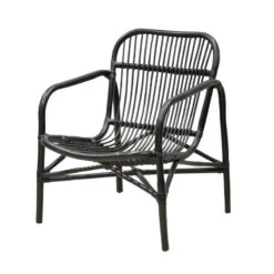 Rottinkituoli Olivia, Musta